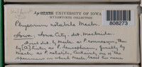 Image Associated With the Occurence